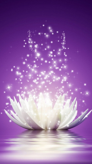 Lotus Wallpaper For Android