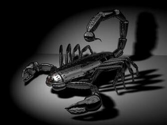 Wallpaper Scorpio