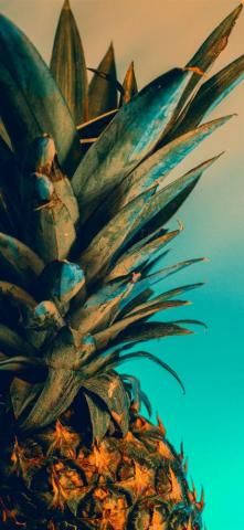 iPhone And Pro Wallpaper