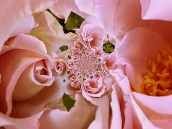 Romantic Wallpaper Desktop