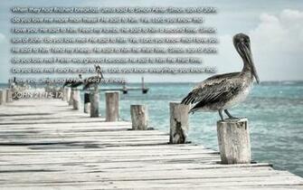 Bible Verses About Love John HD Wallpaper
