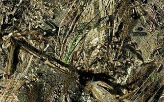 Mossy Oak Logo Pink