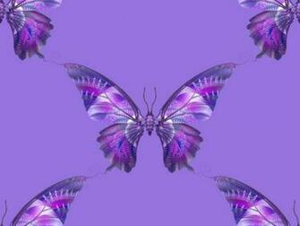 Purple Butterfly