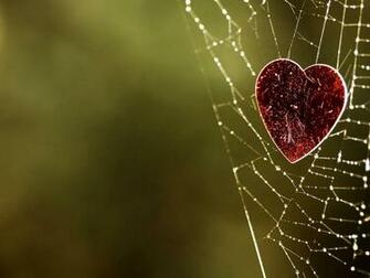 Valentines Day Wallpaper High Definition