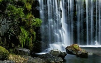 Waterfall Tropical Wallpaper Original