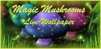 Amazing 3d Mushroom Garden Android Live Wallpaper App