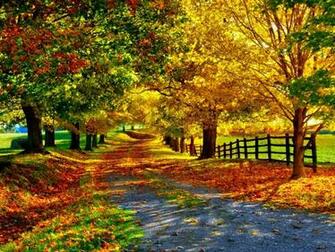 Fall Wallpaper Cynthia Selahblue Cynti19