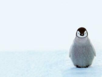Cute Penguin Background