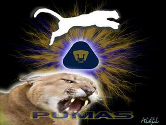 Pumas Unam Fondo De Pantalla