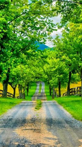 Man Made Road