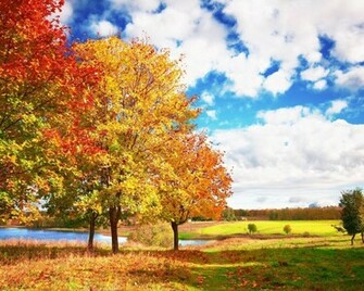 Sunny Autumn Day Desktop Wallpaper
