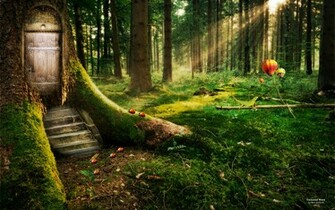 Enchanted Forest Wallpaper HD