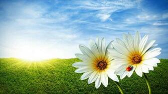 HD Beautiful Wallpaper Background For