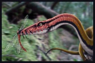 Best Coelophysis Wallpaper