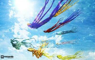 Kites Wallpaper On This To Kite