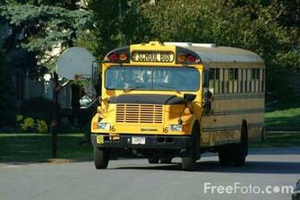 Yellow School Bus Pictures Use Image By Foto