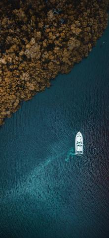 Aerial Sea Forest Boat Wallpaper Beach Top HD