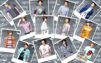 Of Super Junior Wallpaper At Least You Have Both Regular