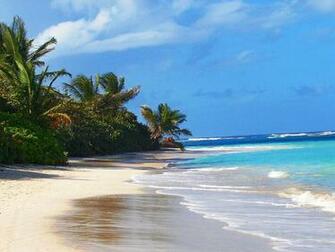 Jestingstock Flamenco Beach Wallpaper