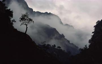 Fog HD Wallpaper Background Image