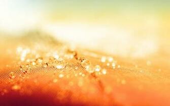 Water Resistant Wallpaper High Definition Quality Widescreen