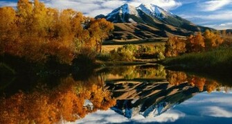 Background Scanning The Billions Of Bing Fall Wallpaper Photos