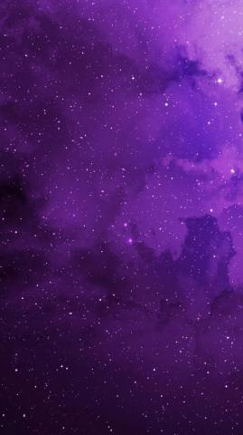 Purple Wallpaper Group For