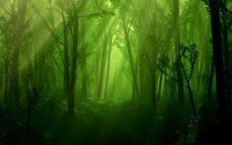 Magical Forest Wallpaper Top Background