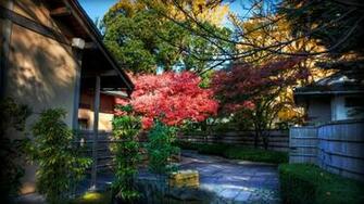 Tea House High Quality And Resolution Wallpaper On