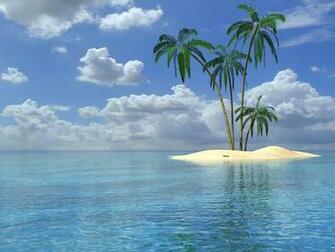 Wallpaper Palm Trees