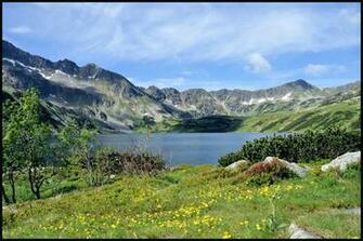Spring In The Mountains Wallpaper