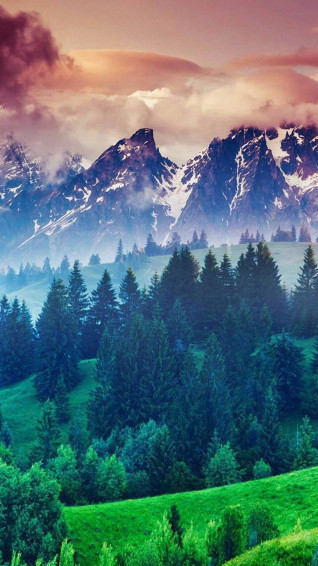 Best Nature HD Wallpaper