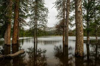 Uinta Mountains Pictures Image