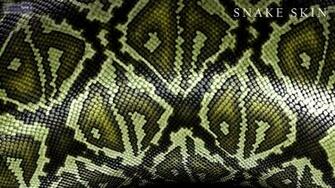 Snake Skin Wallpaper