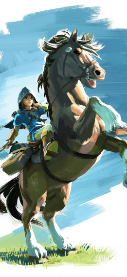 The Legend Of Zelda Breath Wild HD iPhone Wallpaper