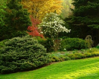 Garden Wallpaper