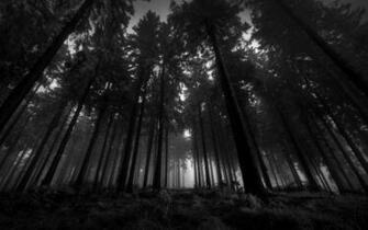 Wallpaper Tags Landscapes Black And White Description