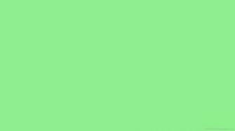 Solid Light Green Color Wallpaper Picture For iPhone Blackberry iPad