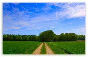 Summer Scenes HD Desktop Wallpaper Widescreen High Definition