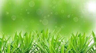 Spring Wallpaper Desktop HD