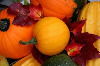 Thanksgiving Wallpaper Pumpkins For Pumpkin