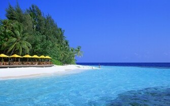 Beach HD Wallpaper Desktop Background Cool