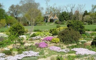 Spring Scenes Wallpaper Pictures