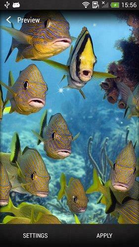Sea Animals Live Wallpaper Apk Personalization App For