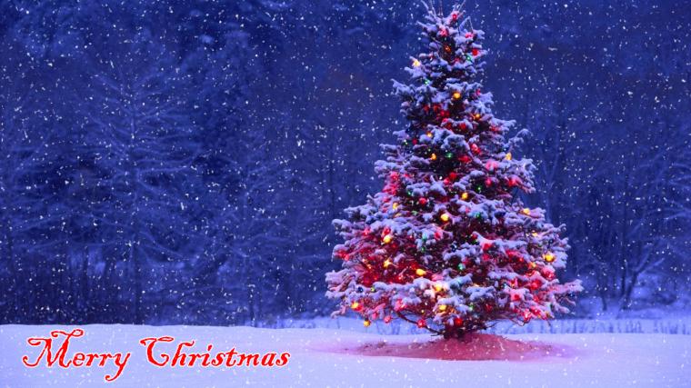 Christmas Snow Gif Find Share On Giphy