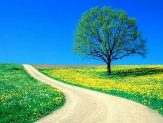 Nature Scenery Wallpaper Background Photos Imageand Pictures