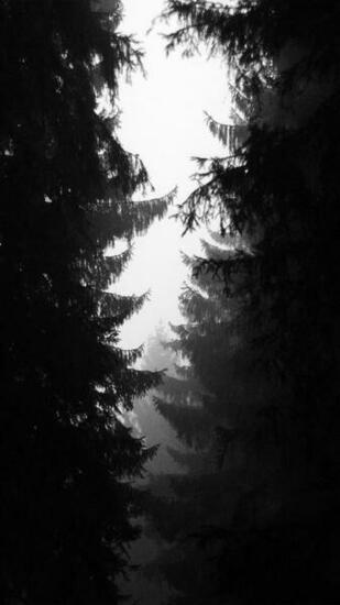 Retina iPhone Plus 4k HD Wallpaper DezignHD Best