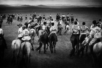 Horse Racing Wallpaper