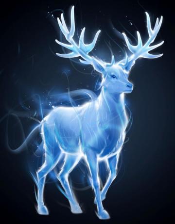 Maggienicki On James Potter Harry Patronus