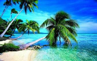 Beach Wallpaper High Definition Cool